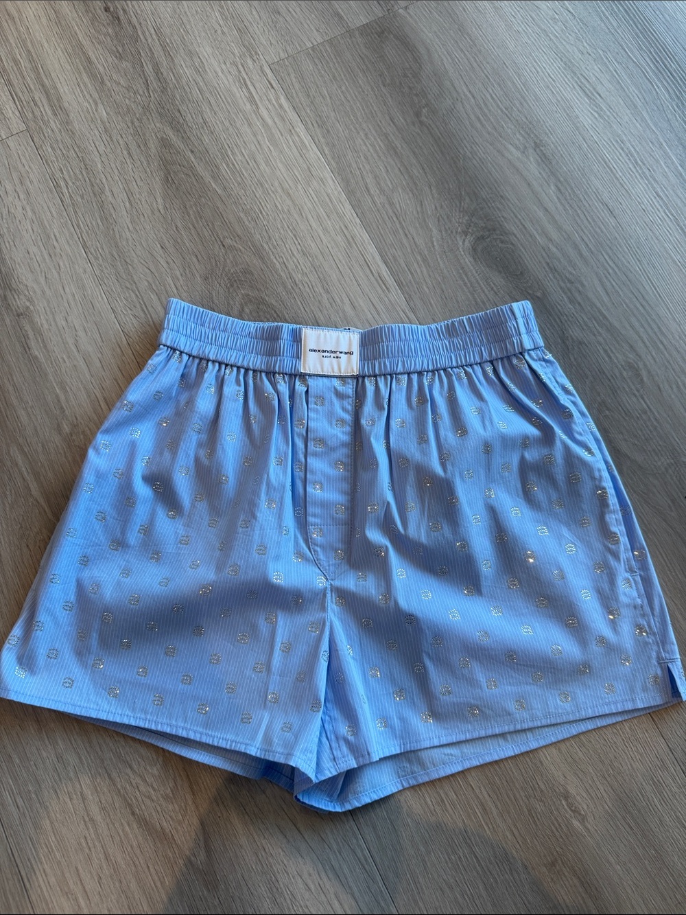 Alexander Wang Light Blue Athletic Shorts with Silver Dot Motif